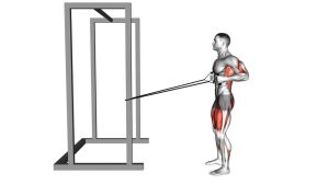 Read more about the article Band Squat Row