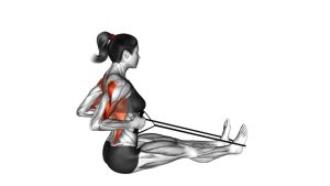 Read more about the article Band Straight-Back Seated Row