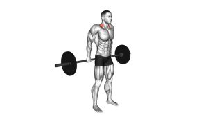 Read more about the article Barbell Behind the Back Shrug