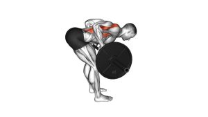 Read more about the article Barbell Bent-Over Row