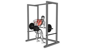 Read more about the article Barbell Deadstop Row with Rack