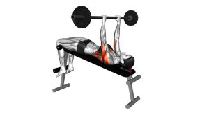 Read more about the article Barbell Decline Pullover