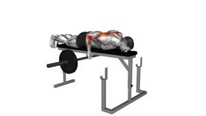 Read more about the article Barbell Lying Close-Grip Underhand Row on Rack
