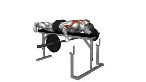 Read more about the article Barbell Lying Row on Rack
