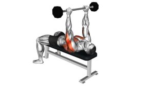 Read more about the article Barbell Pullover