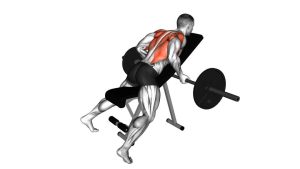 Read more about the article Barbell Reverse-Grip Incline Bench Row