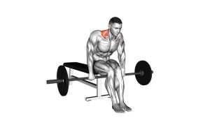 Read more about the article Barbell Seated Shrug