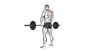 Read more about the article Barbell Shrug