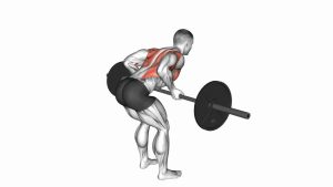 Read more about the article Barbell Underhand Bent-Over Row