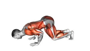 Read more about the article Bear Push-Up