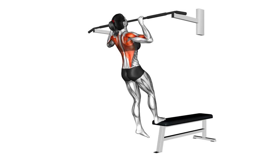 Bench Pull-Up - ManiacMuscle