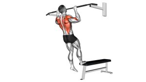 Read more about the article Bench Pull-Ups