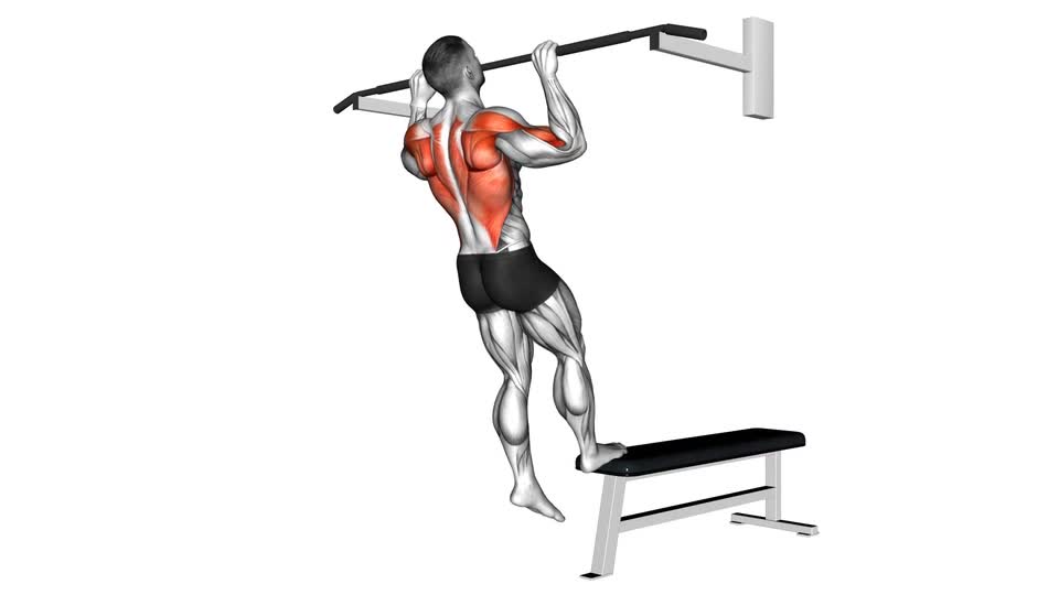 Bench Pull-Ups - ManiacMuscle