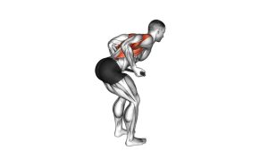 Read more about the article Bent-Over Row with Towel