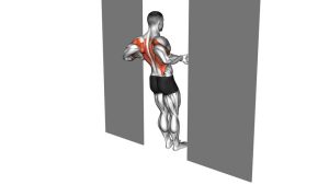 Read more about the article Bodyweight Row in Doorway