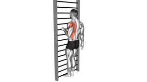 Read more about the article Bodyweight Standing Close-Grip One-Arm Row