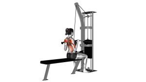 Read more about the article Cable Bar Lateral Pulldown