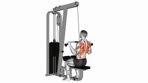 Read more about the article Cable Bar Lateral Pulldown