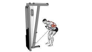 Read more about the article Cable Bent-Over Reverse-Grip Row