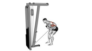 Read more about the article Cable Bent-Over Row