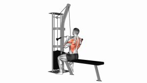Read more about the article Cable Close-Grip Front Lat Pulldown