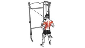 Read more about the article Cable Cross-Over Lateral Pulldown