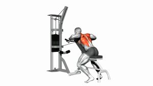 Read more about the article Cable Decline Seated Wide-Grip Row