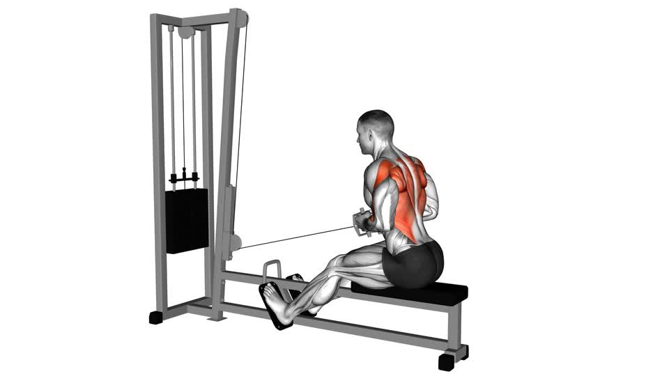 Back Cable Rows Movement Cable Elevated Row - ManiacMuscle