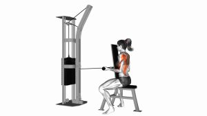 Read more about the article Cable Front Seated Row