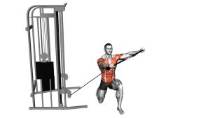 Read more about the article Cable Half-Kneeling Lift