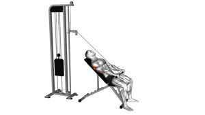 Read more about the article Cable Incline Straight-Arm Pulldown