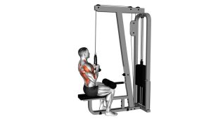 Read more about the article Cable Lateral Pulldown (Rope Attachment)
