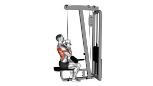 Read more about the article Cable Lateral Pulldown with V-Bar