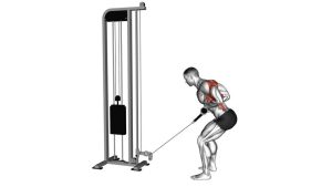 Read more about the article Cable Low Row with Rope Attachment