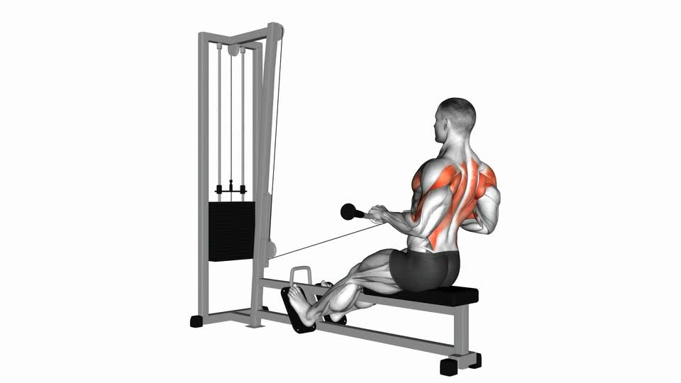 Cable Low Seated Row - ManiacMuscle