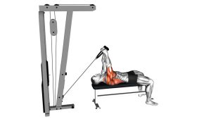 Read more about the article Cable Lying Extension Pullover (Rope Attachment)