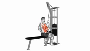 Read more about the article One-Arm Cable Lat Pulldown