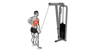 Read more about the article Cable One-Arm Pulldown
