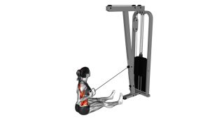Read more about the article Cable One-Arm Twisting Seated Row
