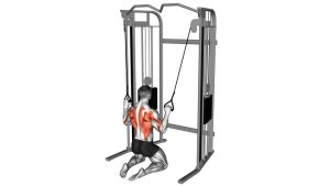 Read more about the article Cable Parallel Grip Lat Pulldown on Floor