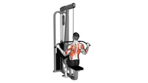 Read more about the article Cable Pulldown (Pro Lat Bar)