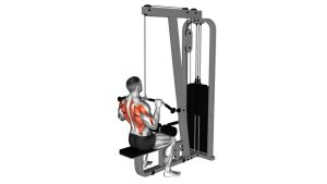 Read more about the article Cable Pulldown (Pro Lat Bar)