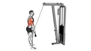 Read more about the article Cable Straight-Arm Pushdown
