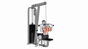 Read more about the article Cable Rear Pulldown