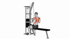 Read more about the article Cable Reverse-Grip Straight-Back Seated High Row