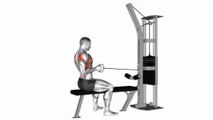 Read more about the article Cable Seated One-Arm Alternate Row