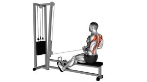 Read more about the article Cable Seated Row