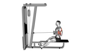 Read more about the article Cable Seated Supine-Grip Row