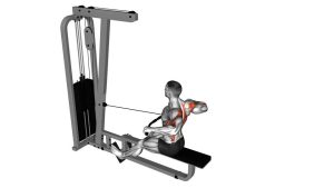 Read more about the article Cable Seated Wide-Grip Row