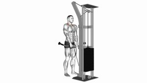 Read more about the article Cable Shrug